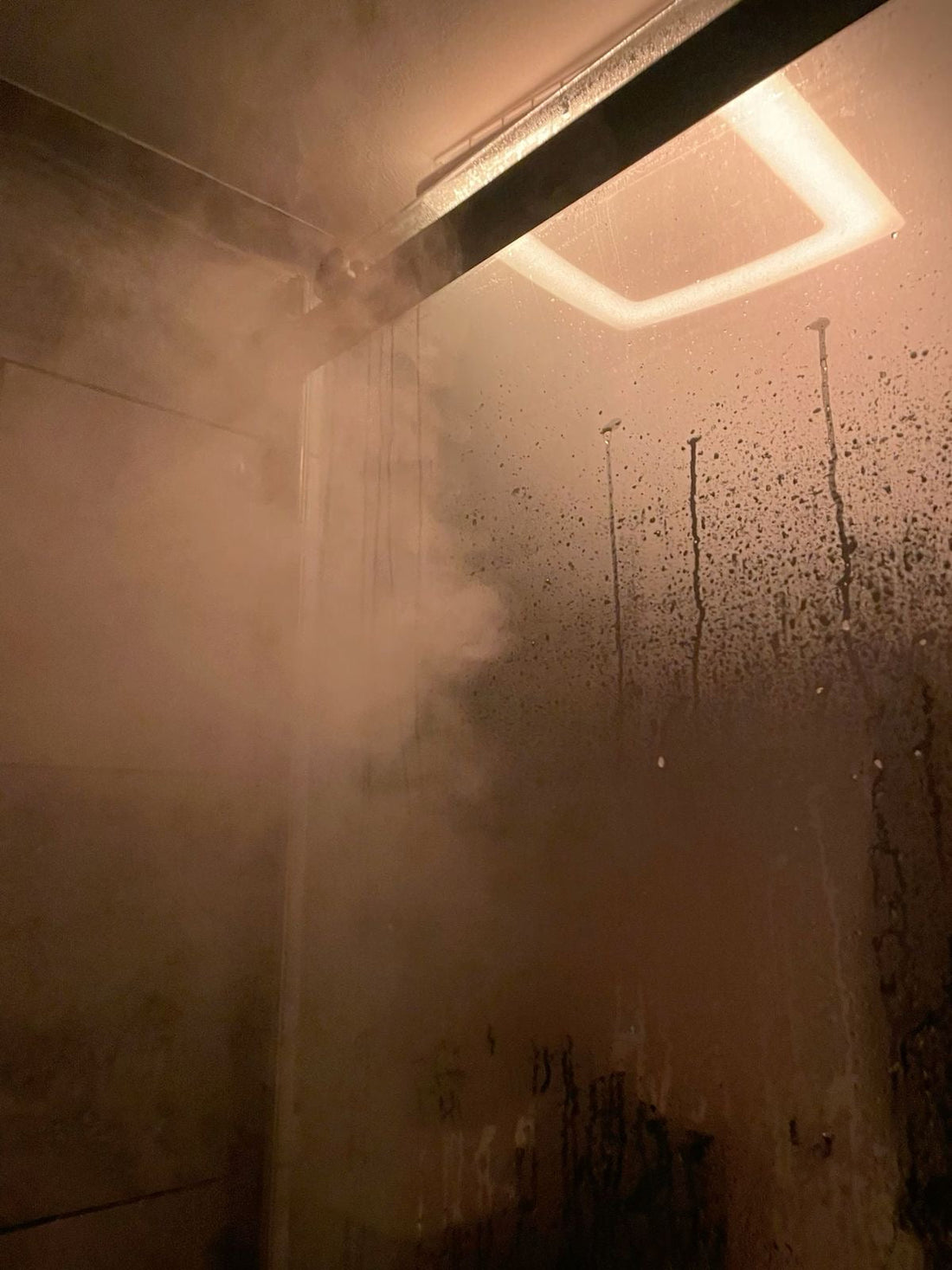 Full Glass Steamy Shower Room